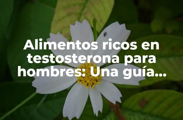 Alimentos Ricos en Testosterona para Hombres: una Guía Completa