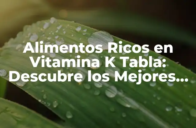 ¿Qué es la Vitamina K y Cómo Funciona en el Cuerpo?
