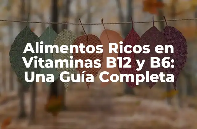 Alimentos Ricos en Vitamina B12