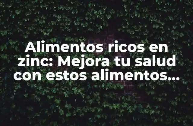 Alimentos Ricos en Zinc: Mejora Tu Salud con Estos Alimentos Esenciales