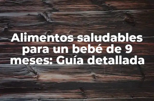 Alimentos Saludables para un Bebé de 9 Meses: Guía Detallada