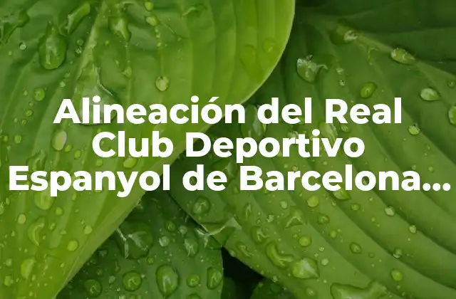 Alineación Del Real Club Deportivo Espanyol de Barcelona – Mensajero