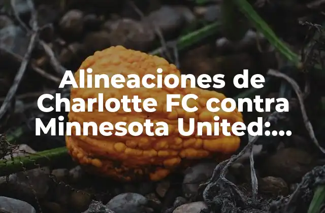 Alineaciones de Charlotte Fc contra Minnesota United: Análisis y Previsiones