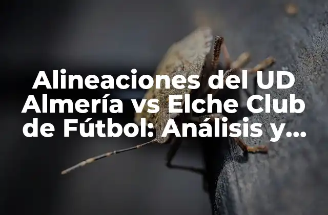 Alineaciones Del Ud Almería Vs Elche Club de Fútbol: Análisis y Estrategias