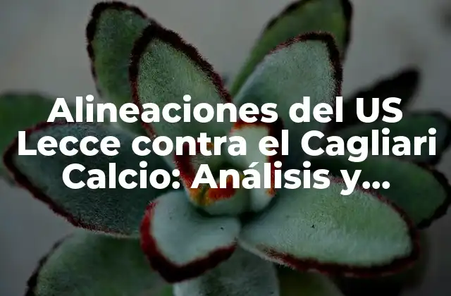 Alineaciones Del Us Lecce contra el Cagliari Calcio: Análisis y Predicciones