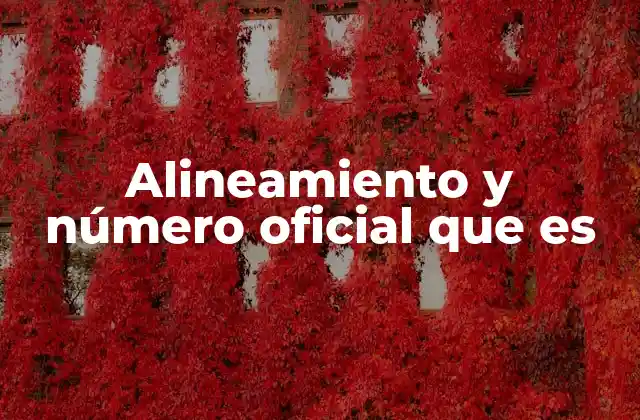 Alineamiento y Número Oficial que es