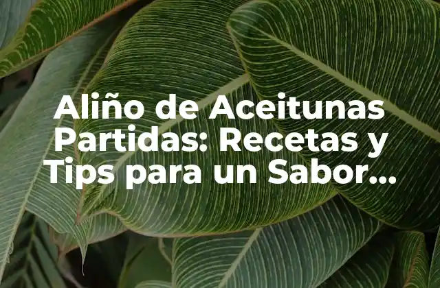 Aliño de Aceitunas Partidas: Recetas y Tips para un Sabor Único