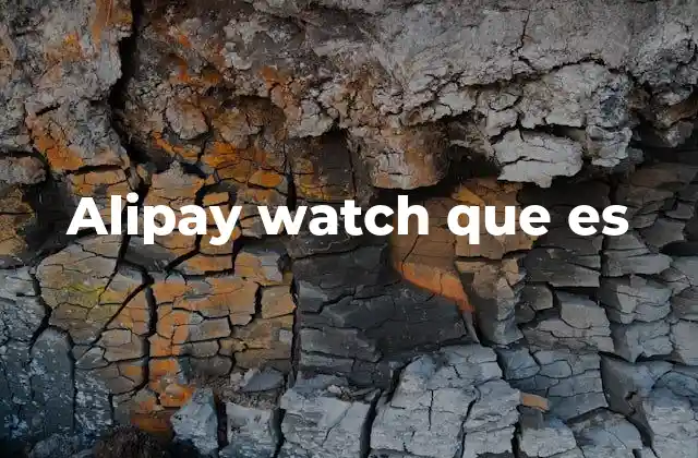 Alipay Watch que es