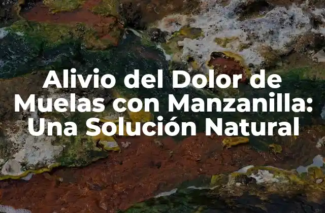 Alivio Del Dolor de Muelas con Manzanilla: una Solución Natural
