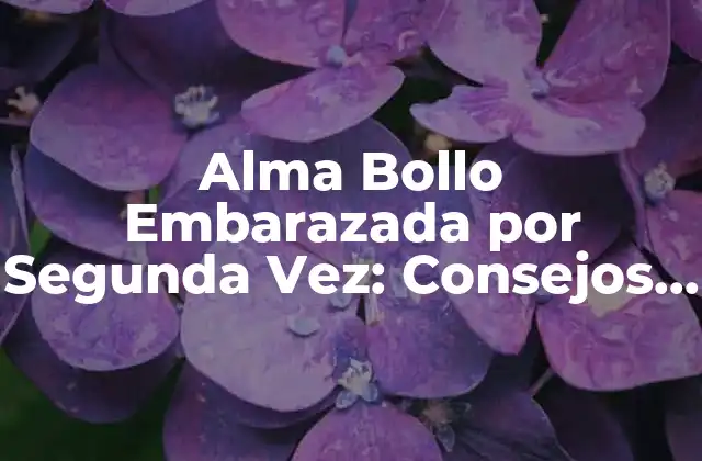 Alma Bollo Embarazada por Segunda Vez: Consejos y Experiencias