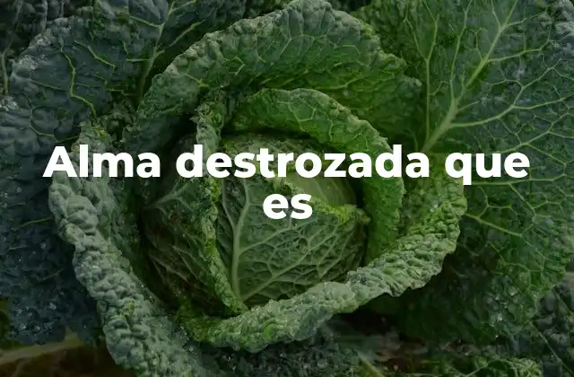 Alma Destrozada que es