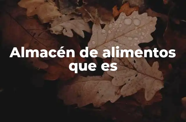 Almacén de Alimentos que es