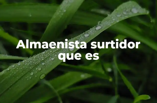 Almaenista Surtidor que es