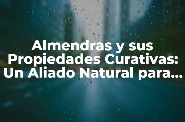 Almendras y Sus Propiedades Curativas: un Aliado Natural para la Salud 2 Propiedades Nutricionales de las Almendras