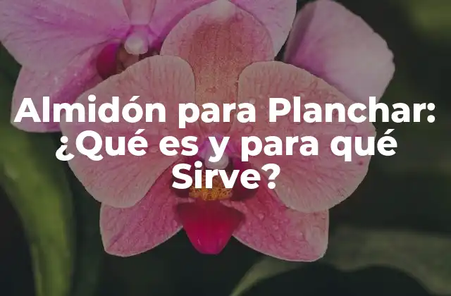 Almidón para Planchar: ¿qué es y para Qué Sirve?