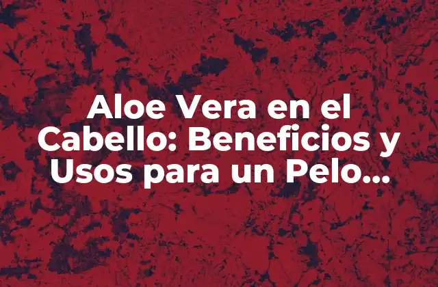 Propiedades del Aloe Vera para el Cabello