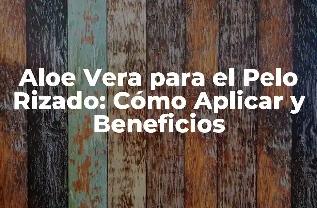 Aloe Vera para el Pelo Rizado: Cómo Aplicar y Beneficios