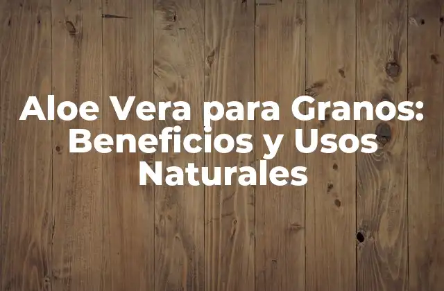 Aloe Vera para Granos: Beneficios y Usos Naturales