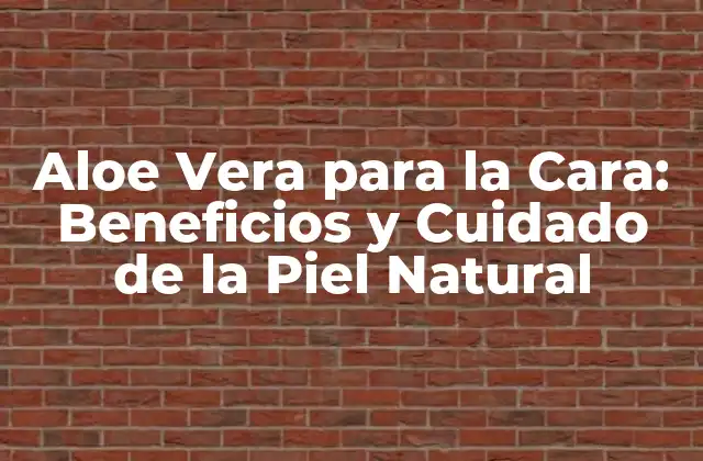 Propiedades Beneficiosas de la Aloe Vera para la Piel