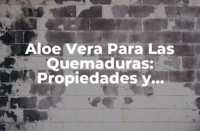 Aloe Vera para las Quemaduras: Propiedades y Beneficios
