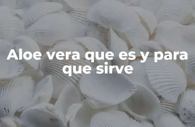 Aloe Vera que es y para que Sirve