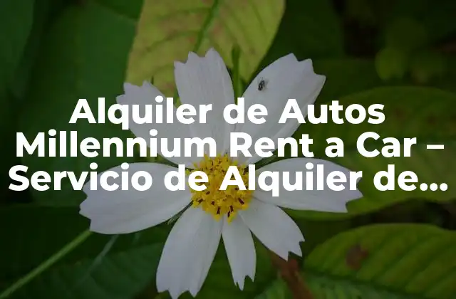 Alquiler de Autos Millennium Rent a Car – Servicio de Alquiler de Vehículos Confiable