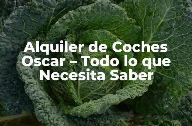 Alquiler de Coches Oscar – Todo Lo que Necesita Saber