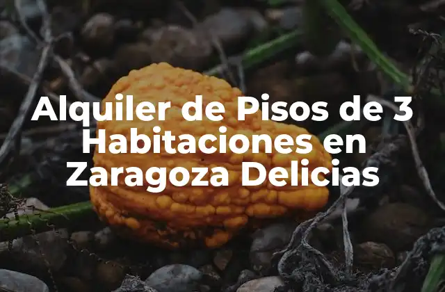 Alquiler de Pisos de 3 Habitaciones en Zaragoza Delicias