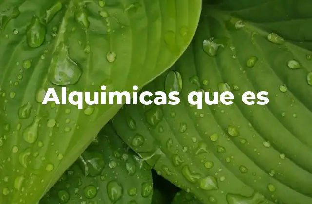 Alquimicas que es