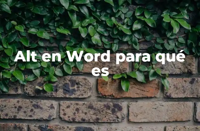 Alt en Word para Qué es