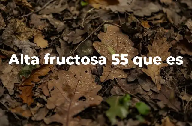 Alta Fructosa 55 que es