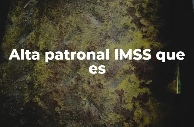 Cómo funciona el proceso de alta patronal IMSS