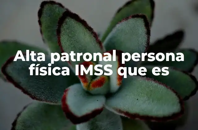 Alta Patronal Persona Física Imss que es
