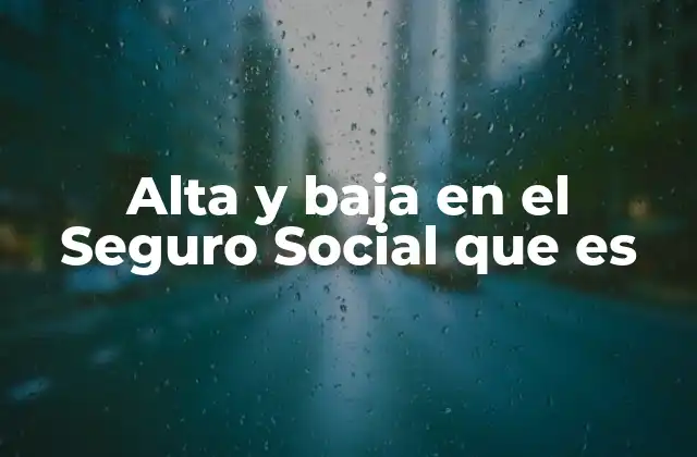Alta y Baja en el Seguro Social que es
