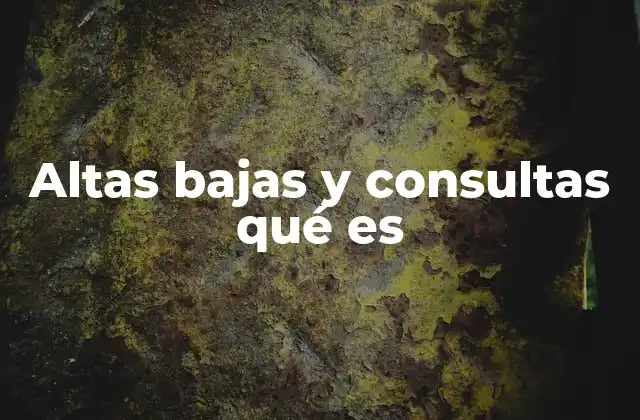 Altas Bajas y Consultas Qué es