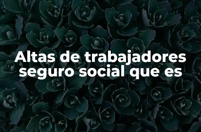 Altas de Trabajadores Seguro Social que es