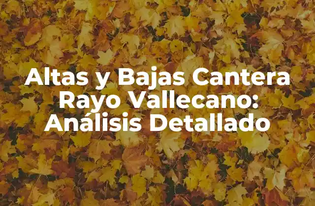 Altas y Bajas Cantera Rayo Vallecano: Análisis Detallado 2 La importancia de la Cantera en el Fútbol Español