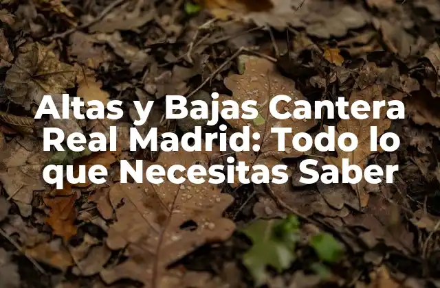 Altas y Bajas Cantera Real Madrid: Todo Lo que Necesitas Saber