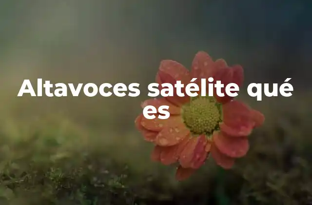 Altavoces Satélite Qué es
