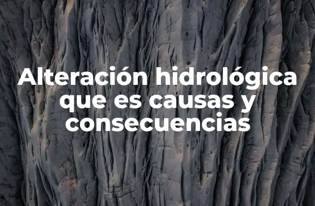 Alteración Hidrológica que es Causas y Consecuencias