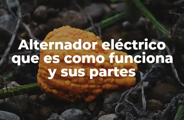 Alternador Eléctrico que es como Funciona y Sus Partes