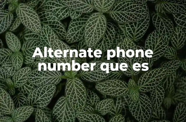 Alternate Phone Number que es