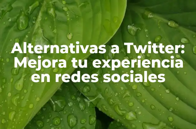 Alternativas a Twitter: Mejora Tu Experiencia en Redes Sociales