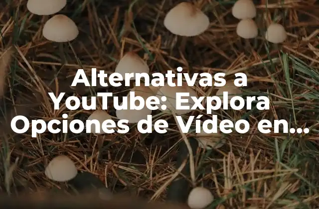 Alternativas a Youtube: Explora Opciones de Vídeo en Línea