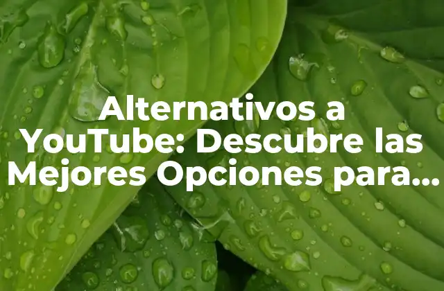 Alternativos a Youtube: Descubre las Mejores Opciones para Crear y Compartir Contenido de Video