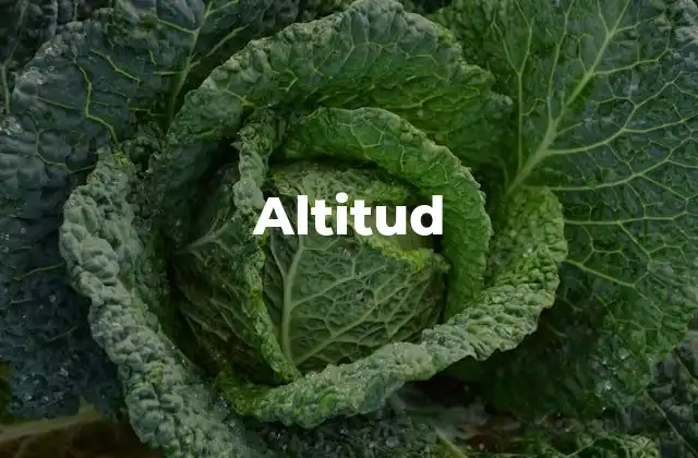 Altitud 2 La importancia de la altitud en diferentes contextos