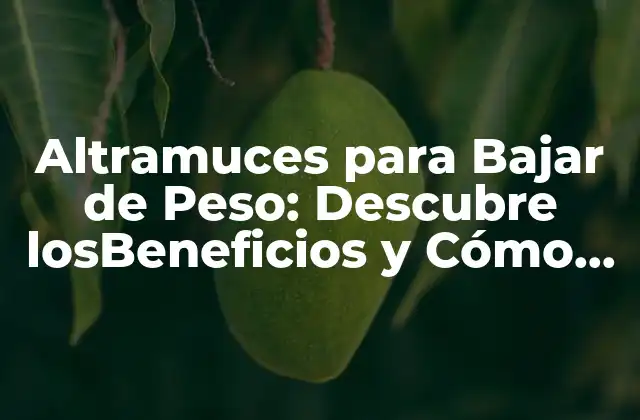 Altramuces para Bajar de Peso: Descubre Losbeneficios y Cómo Utilizarlos