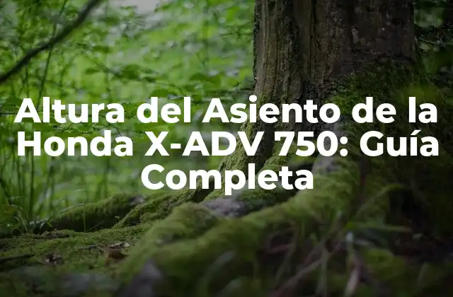 Altura Del Asiento de la Honda X-adv 750: Guía Completa