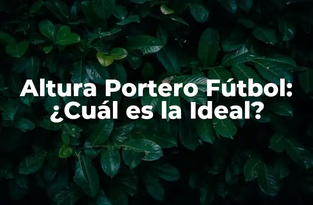 Altura Portero Fútbol: ¿cuál es la Ideal?