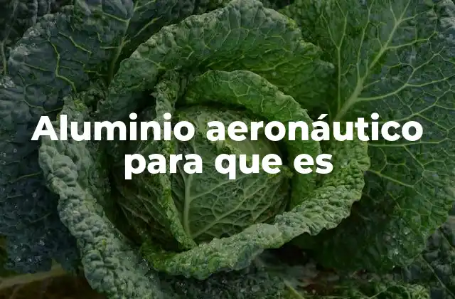 Características del aluminio aeronáutico que lo hacen indispensable